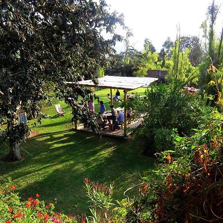 La Casa Del Tilo Bed and Breakfast Hacienda Santa Rosa Esterno foto