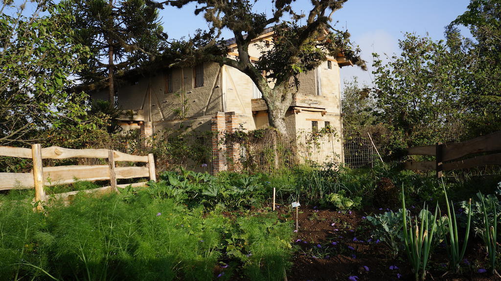 La Casa Del Tilo Bed and Breakfast Hacienda Santa Rosa Esterno foto